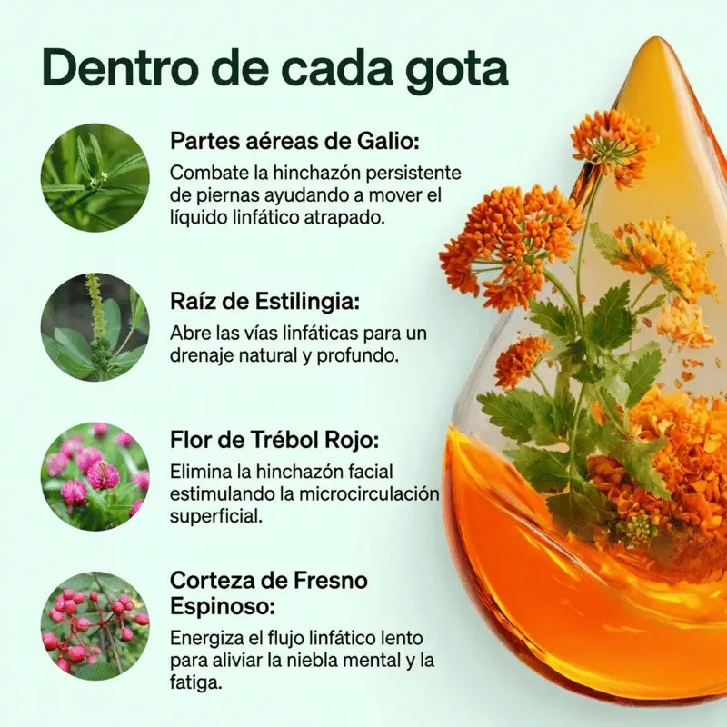 PurezaDrops™ | Drena Naturalmente la Hinchazón del Rostro, Abdomen y Piernas